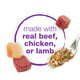 Purina Beneful Chopped Blends Wet Dog Food Variety Pack Beef Chicken 10 oz Tubs (12 Pack) - Purina Beneful