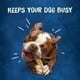 Purina Busy Rawhide Chewnola Oats & Brown Rice Treat for Dogs, 20 oz Pouch - Busy